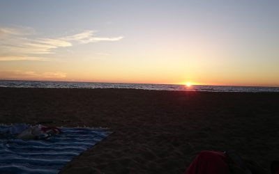 Propuestas para celebrar el Tiempo de la Creación